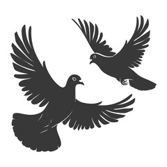 Obraz premium Silhouette dove bird animal fly couple pigeon black color only