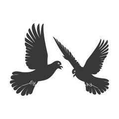 Silhouette dove bird animal fly couple pigeon black color only
