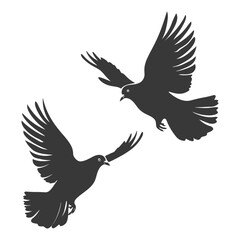 Obraz premium Silhouette dove bird animal fly couple pigeon black color only