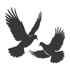 Obraz premium Silhouette dove bird animal fly couple pigeon black color only