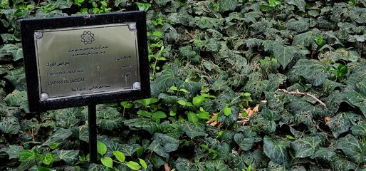 A photo of the signboard Garden in Tehran