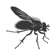 Silhouette Fly Insect animal black color only full