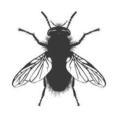 Silhouette Fly Insect animal black color only full