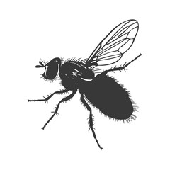Silhouette Fly Insect animal black color only full