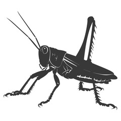 Silhouette grasshopper Insect animal black color only
