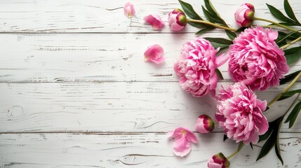beautiful pink peonies arranged on a white wooden background, offering ample space for text in a top-down view, forming a charming floral border.