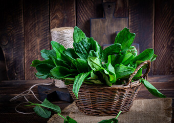 Sorrel. Bunch of fresh green organic sorrel leaf on wooden table closeup. - 782317921