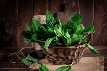 Sorrel. Bunch of fresh green organic sorrel leaf on wooden table closeup.