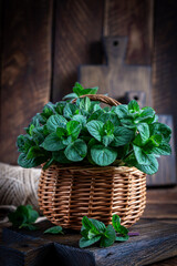 Mint. Bunch of fresh green organic mint leaf on wooden table closeup. Peppermint in small basket on natural wooden background - 782318199
