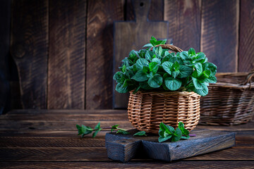 Mint. Bunch of fresh green organic mint leaf on wooden table closeup. Peppermint in small basket on natural wooden background - 782318317