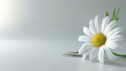 A beautiful 3D illustration of a white daisy flower with a yellow center. - Powered by Adobe