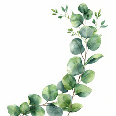 Banner floreale verde acquerello con foglie e rami di eucalipto  cornici di foglie isolate su sfondo bianco - obrazy, fototapety, plakaty