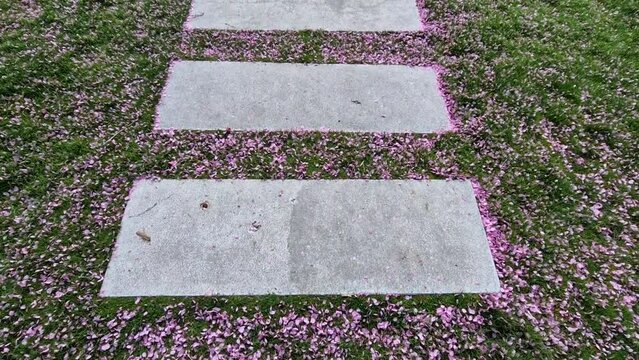 concrete path lawn pedal rectangular shape in regular grid routed directly through beautiful lawn suns and shadows stone , concrete large slabs, slab, rectangle, railroad tie