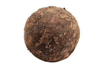 Large Brown Truffle on White Background