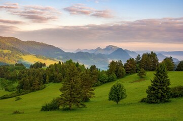 Green field and view of Trzy Korony, Pieniny Mountains Peak in Poland at Spring. Fresh green spring...