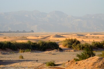 Fototapeta na wymiar Desierto de Wadi Araba en Jordania, junto a la frontera con Palestina