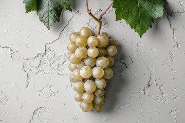 Grapes hanging from vine