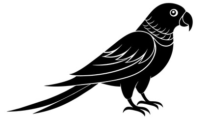 Fototapeta premium parrot and svg file