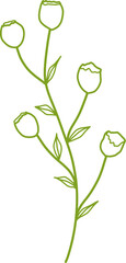 Botanical Line Vector
