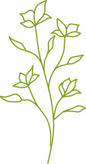 Botanical Line Vector