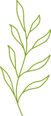 Botanical Line Vector