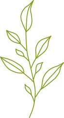 Botanical Line Vector