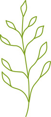 Botanical Line Vector