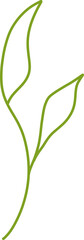 Botanical Line Vector