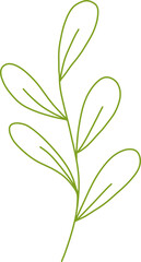 Botanical Line Vector