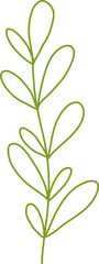 Botanical Line Vector