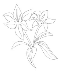 Flower coloring book page for kids