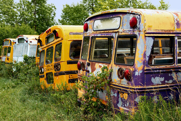 rusty old yellow school bus in an auto wrecker scrap yard