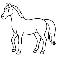 horse illustration