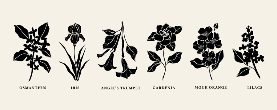 Flat vector fragrant flowers collection