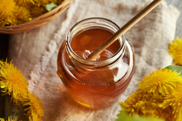 Dandelion honey or syrup in a glass jar with fresh dandelion flowers harvested in spring