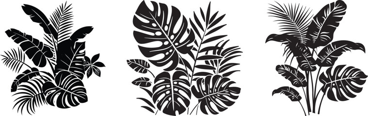 Set of Tropical leaf silhouette of beautiful plants design, Vector illustration