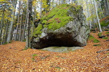 Großer Fels im herbstlichen Wald