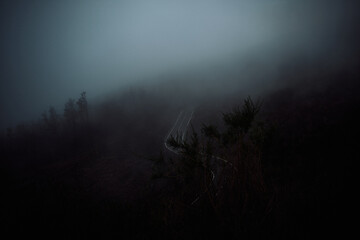 Mysterious Winding Road in Dense Fog
