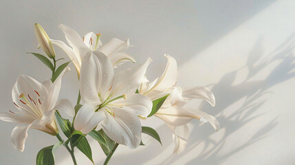 Fototapeta na wymiar Elegant lilies against a clear white canvas