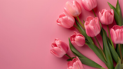 Pink tulip flower arrangement with pink background and copy space