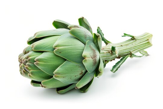 Single artichoke on white background