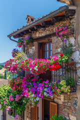 Fototapeta na wymiar Italian Petunia Balcony - Colorful Summer Scene 