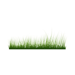 Fototapeta premium Grass Border
