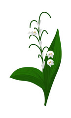 Lily Of Valley Flower