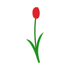 Spring Tulip Element - 782371732