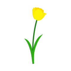 Spring Tulip Element - 782371759
