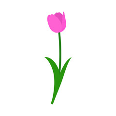 Spring Tulip Element - 782371774