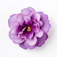 Obraz premium Vibrant Purple Bloom Overhead Generative AI