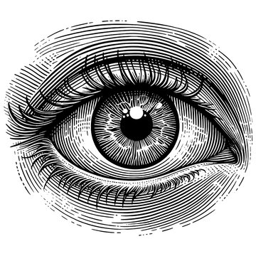Detailed human eye, with intricate iris and eyelash details sketch engraving generative ai fictional character PNG illustration. Scratch board imitation. Black and white image.