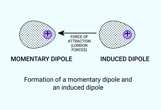 Formation of a momentary dipole and an induced dipole